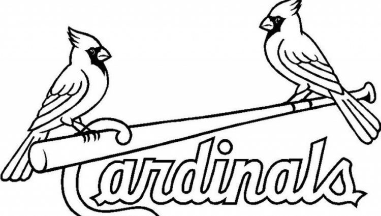 Cardinals Drawing at GetDrawings | Free download