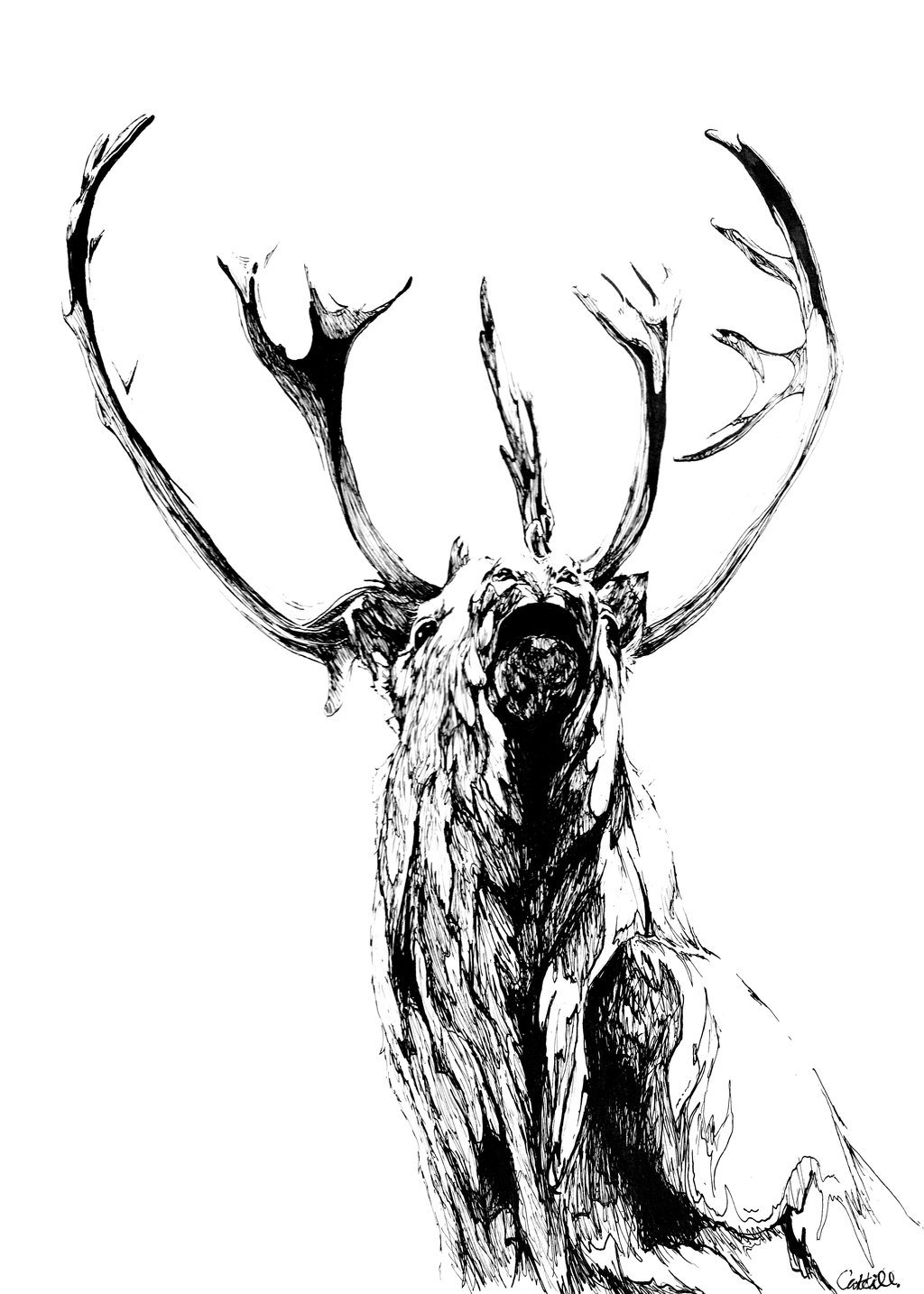 1024x1434 Caribou By Chostopher