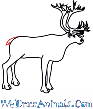 300x350 How To Draw A Caribou