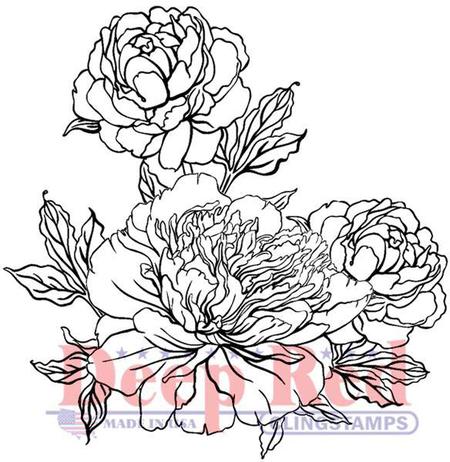 450x462 Deep Red Stamps Carnation Blooms