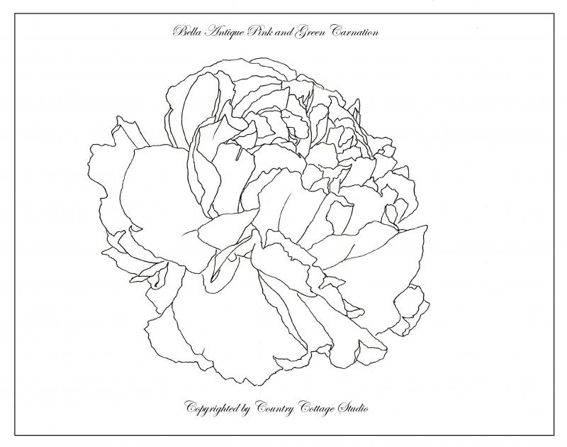 800x630 Bella Antique Pink And Green Carnation Wip [Archive]