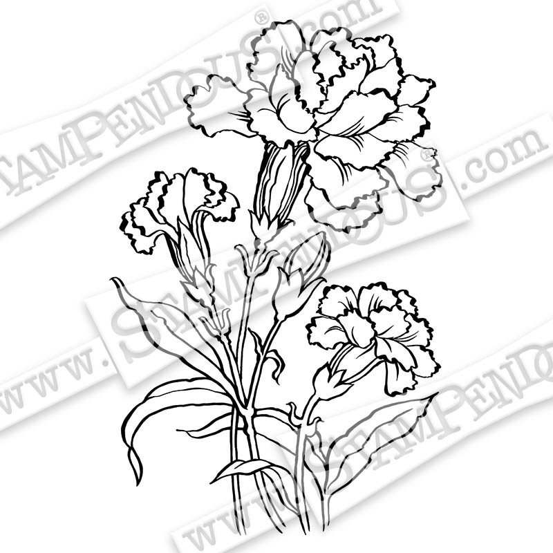 800x800 Carnation Blooms Rubber Stamp