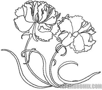 350x308 Flowers And Nature