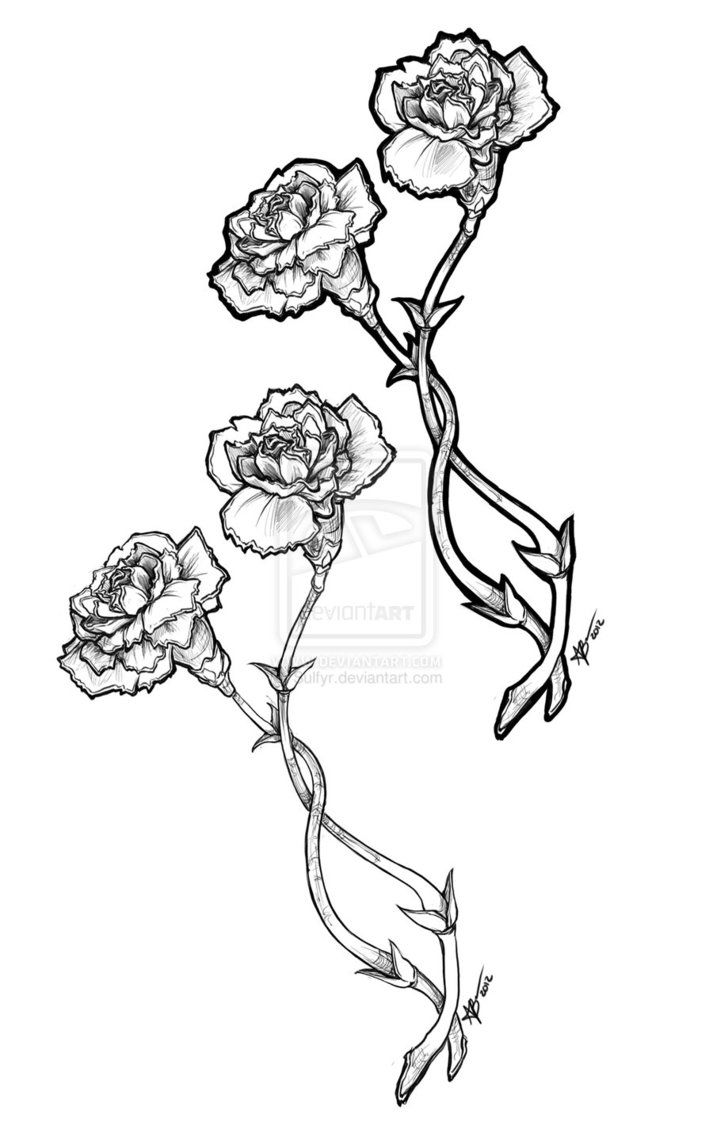 713x1121 Carnation Flower Tattoo Designs Collection