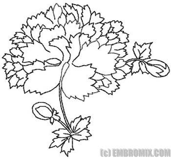 350x324 Flowers And Nature