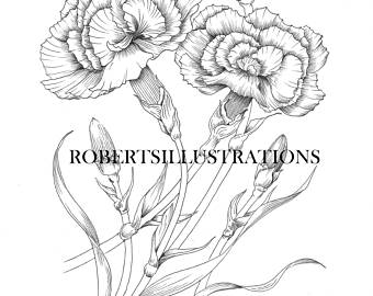 340x270 Carnation Pen Etsy