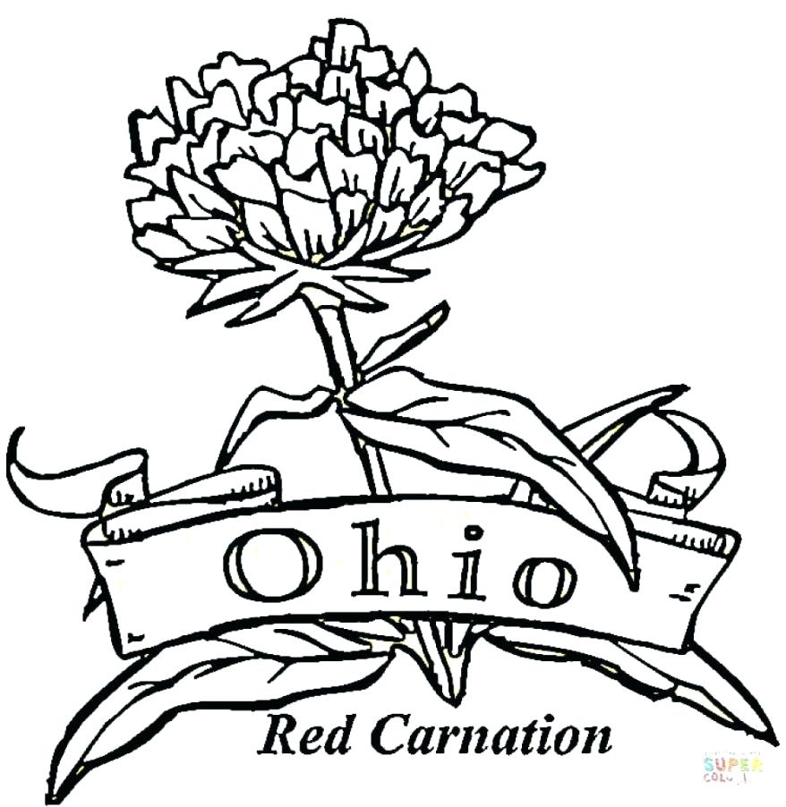 878x902 Coloring Carnation Coloring Page Drawn Peony Flower 9 Book Pages