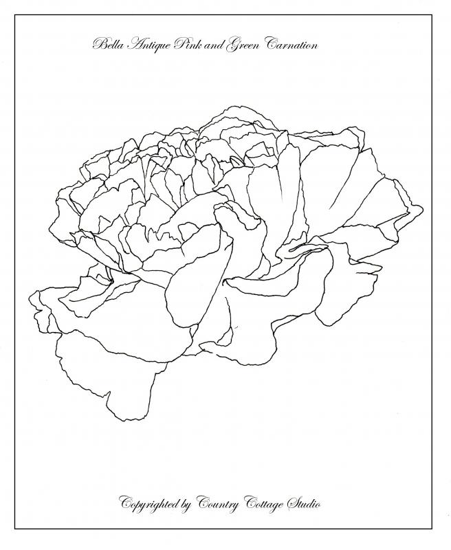 656x800 Bella Antique Pink And Green Carnation Wip [Archive]