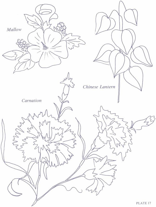 650x865 Mallow Amp Carnations Penink Floral Dover
