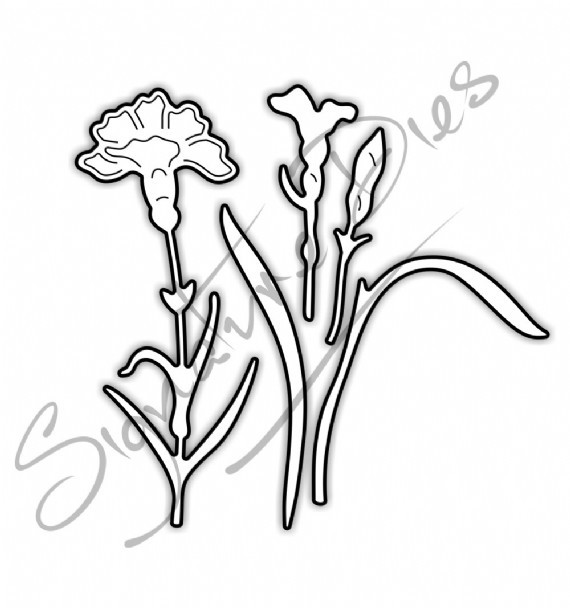 570x608 Signature Dies