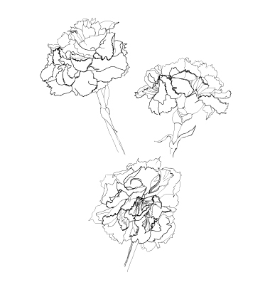 380x400 Carnation Tattoo