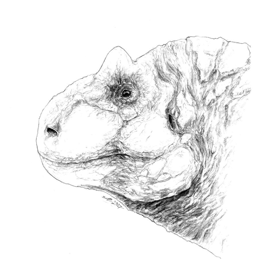 887x900 Carnotaurus Sastrei