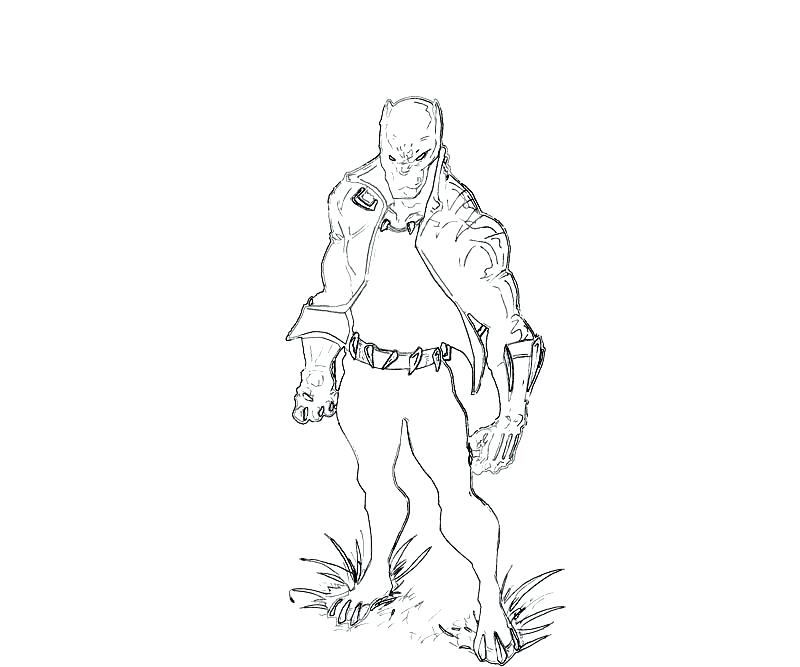 800x667 Panther Coloring Page Nfl Carolina Panthers Coloring Pages