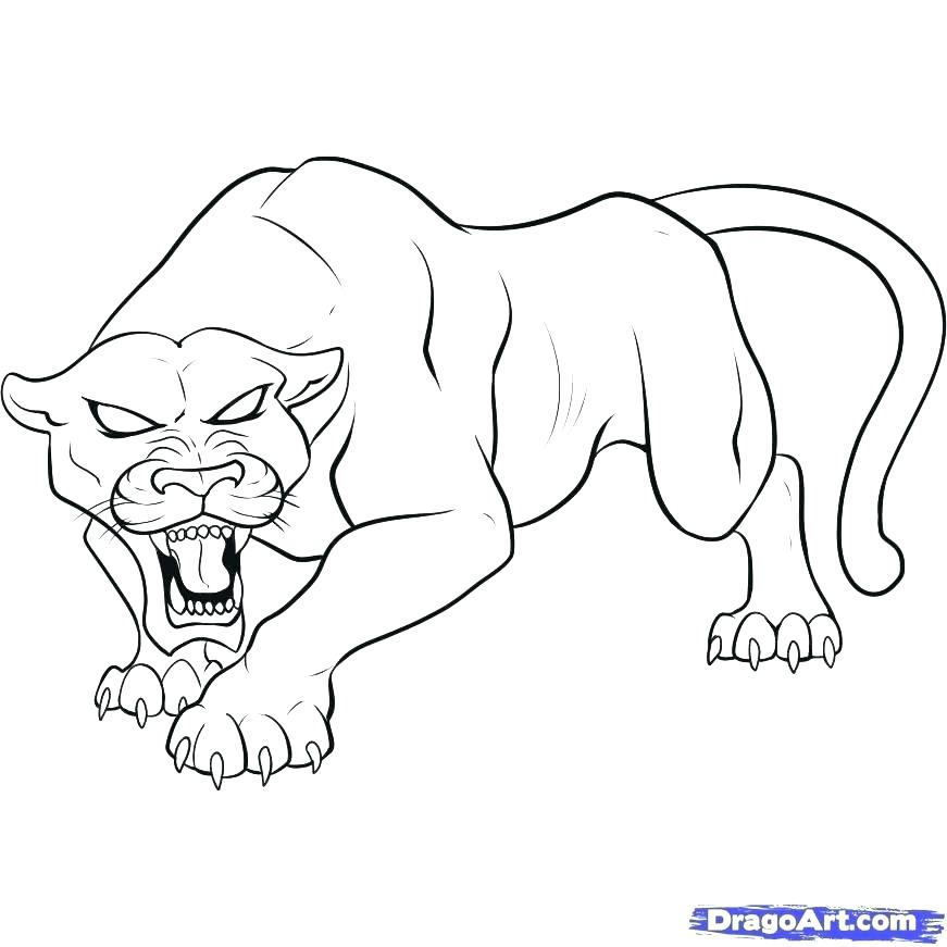 871x871 Carolina Panthers Coloring Pages