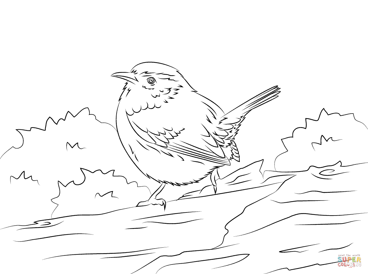 1200x895 Cute Carolina Wren Coloring Page Free Printable Coloring Pages