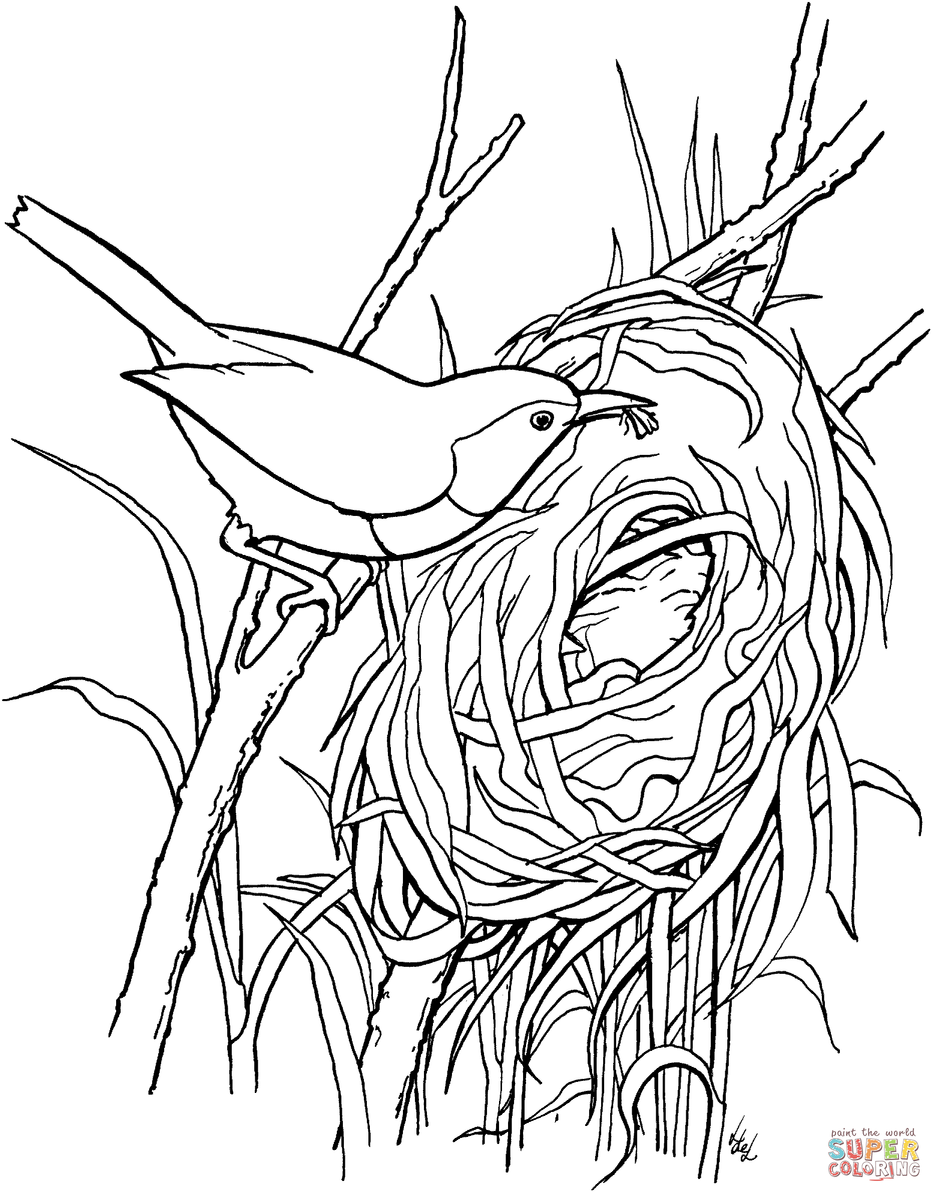 1862x2382 Wren Coloring Pages Free Coloring Pages