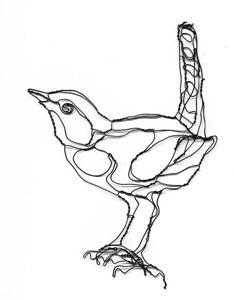 234x300 Wren Sketch Wren Tattoo Wren And Sketches