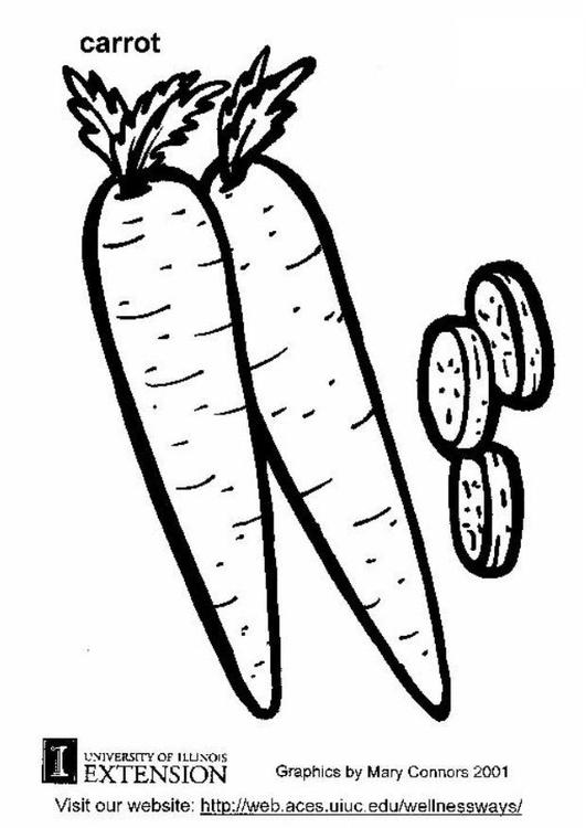 531x750 Coloring Page Carrot