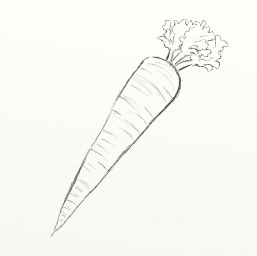520x518 How To Draw A Carrot Feltmagnet