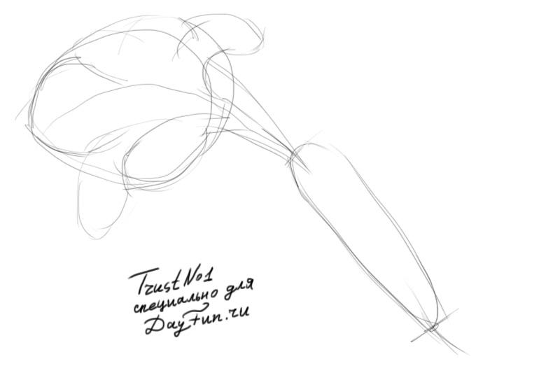 800x533 How To Draw Carrots Step By Step