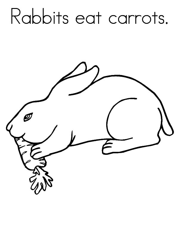 600x776 Rabbit Eat Carrot Coloring Pages Best Place To Color