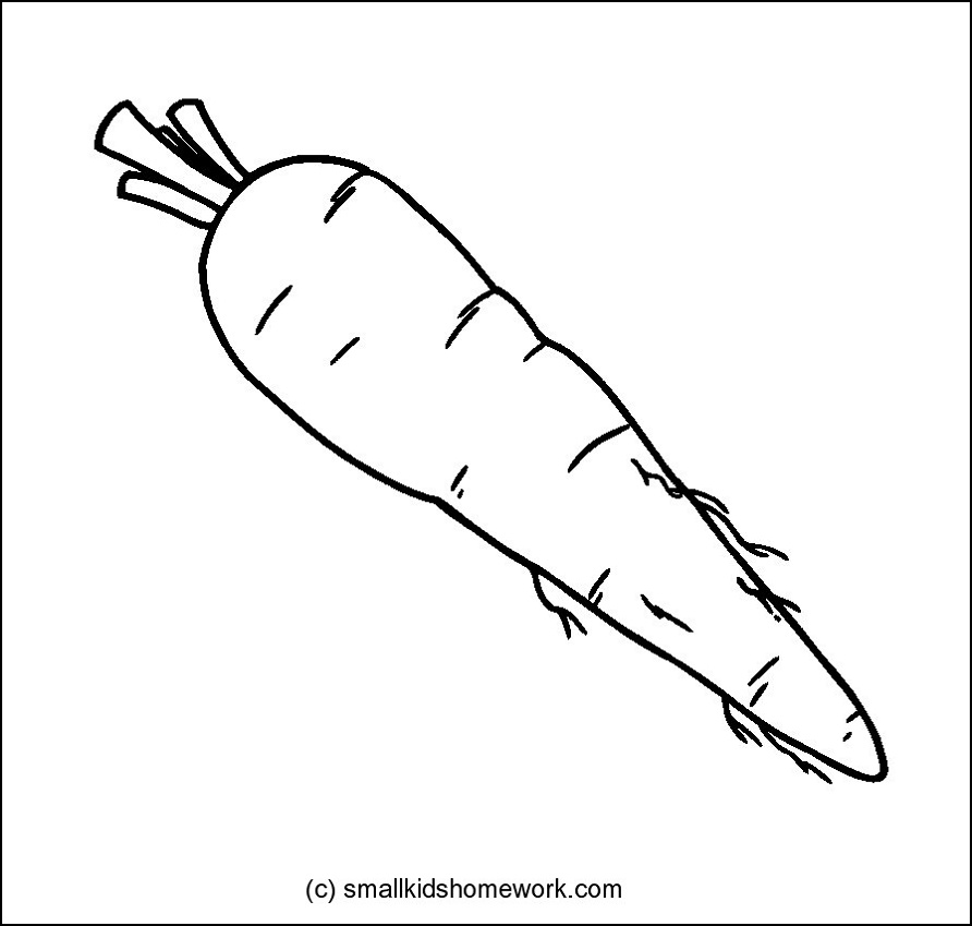 892x849 Carrot