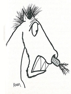 250x330 Carrot Stories