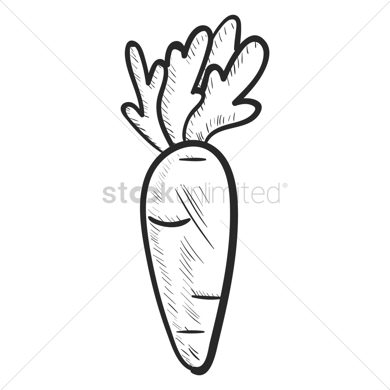 1300x1300 Carrot Vector Image