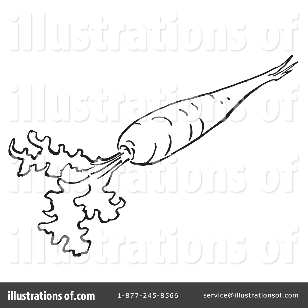 1024x1024 Carrot Clipart