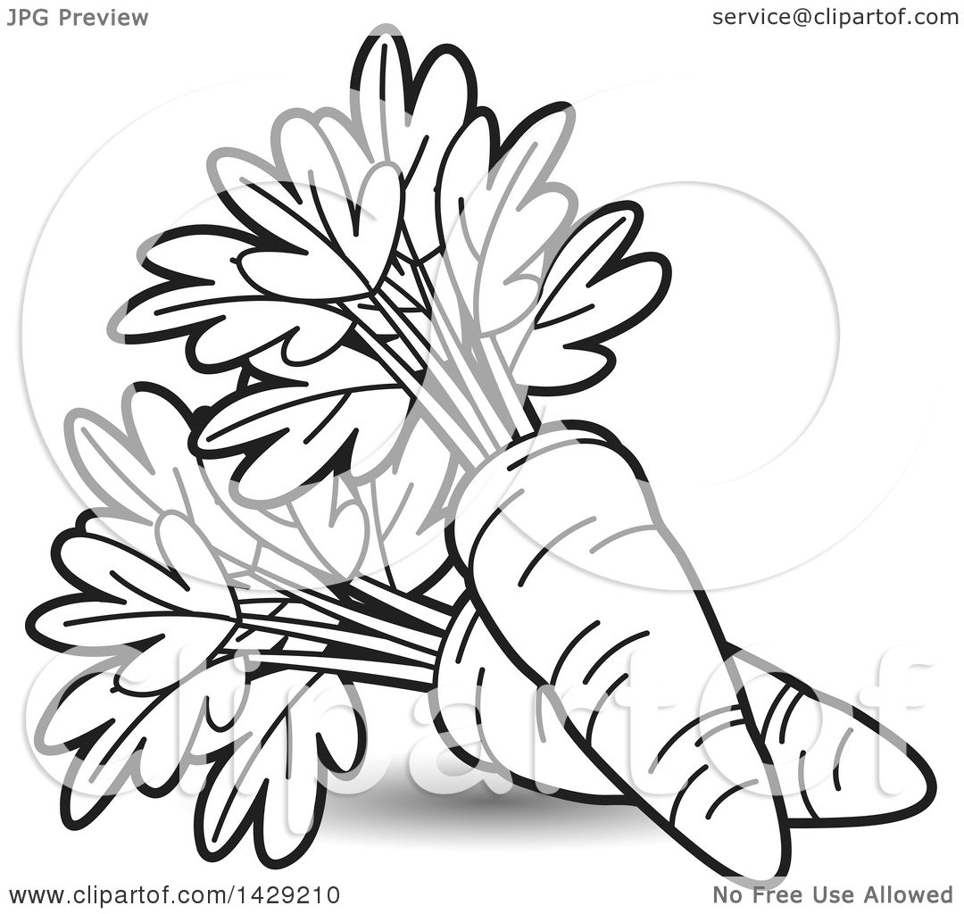1080x1024 Clipart Of Black And White Carrots