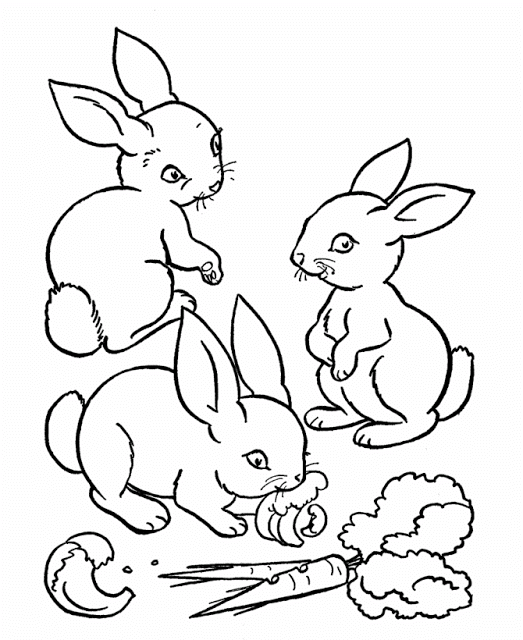 523x640 Coloring Pages Printable. Printable Drawing And Coloring For Kids
