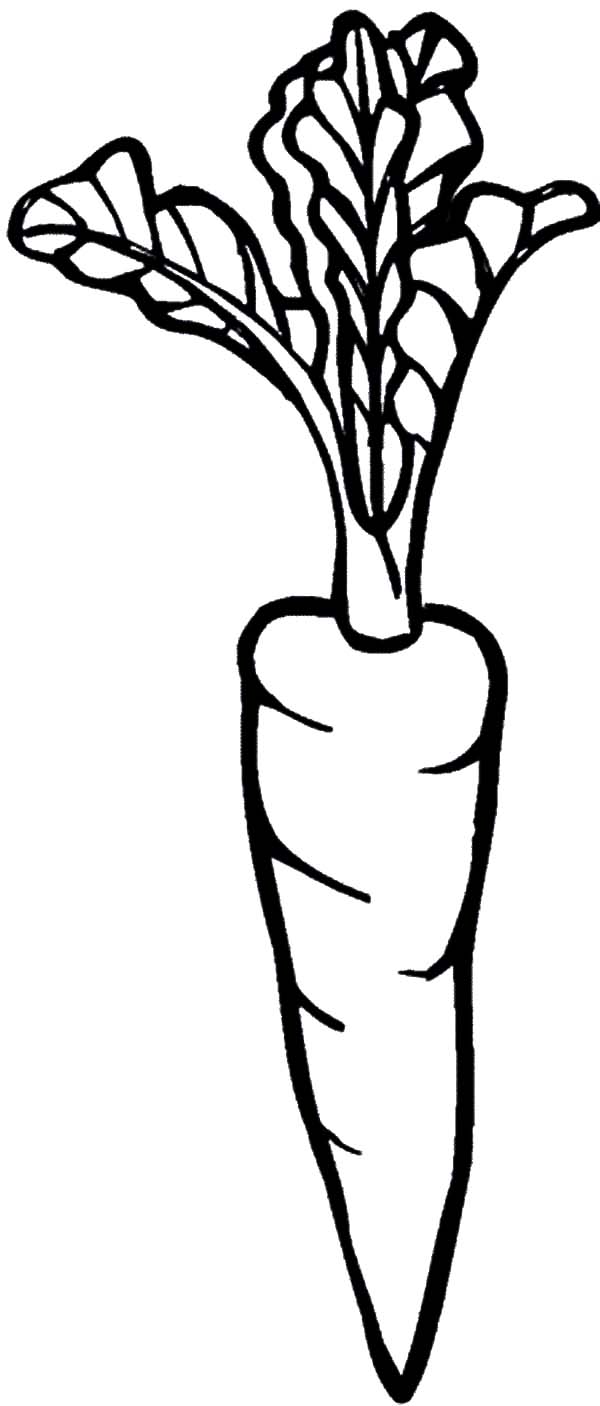 Carrot Coloring Page 3