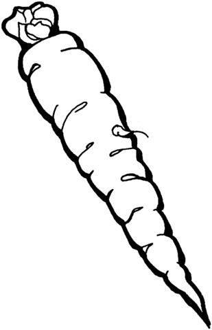 309x480 Carrot 3 Coloring Page Free Printable Coloring Pages