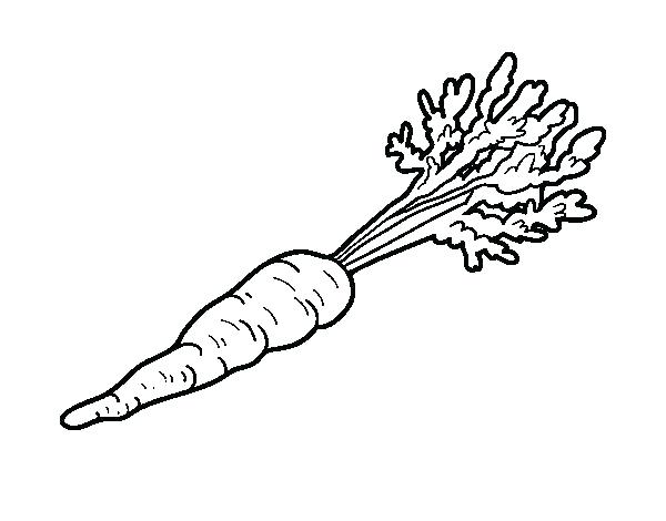 600x470 Carrot Coloring Page Murs