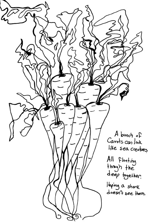 480x711 Carrots Drawing Not Shallow