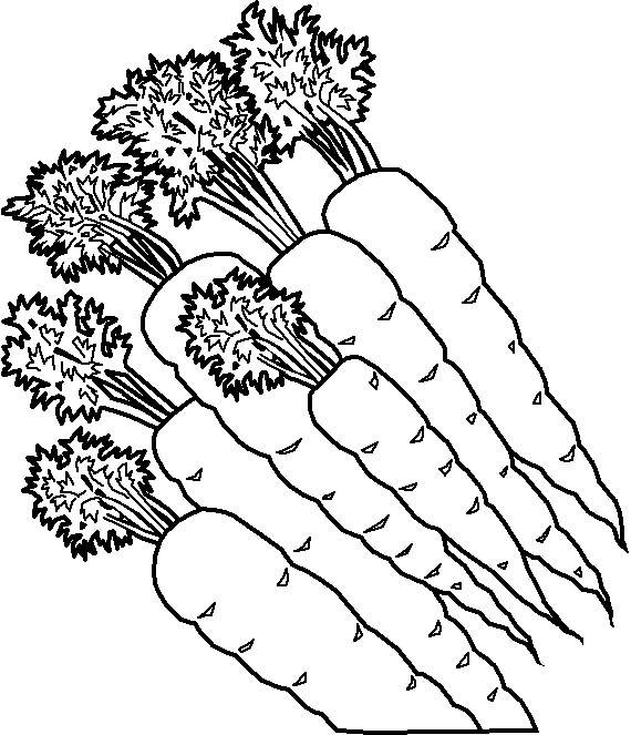 570x663 Carrots Pages To Color Coloring Pages