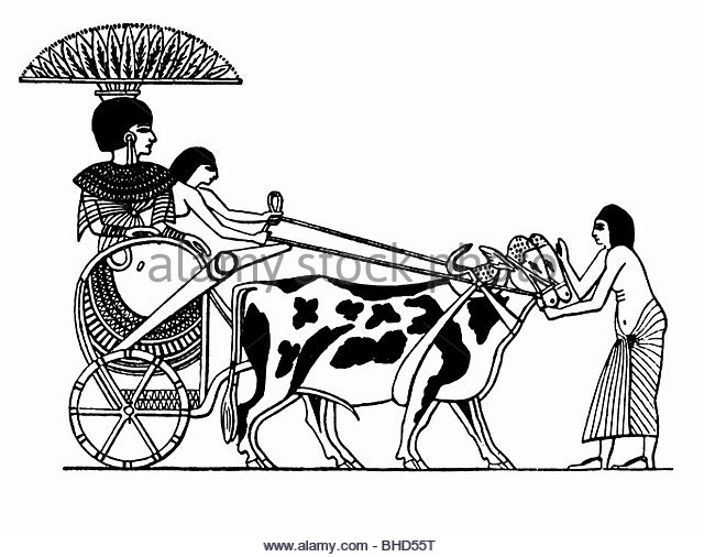 640x506 Cart Drawing Stock Photos Amp Cart Drawing Stock Images