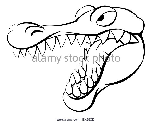 640x516 Crocodile Attack Cut Out Stock Images Amp Pictures