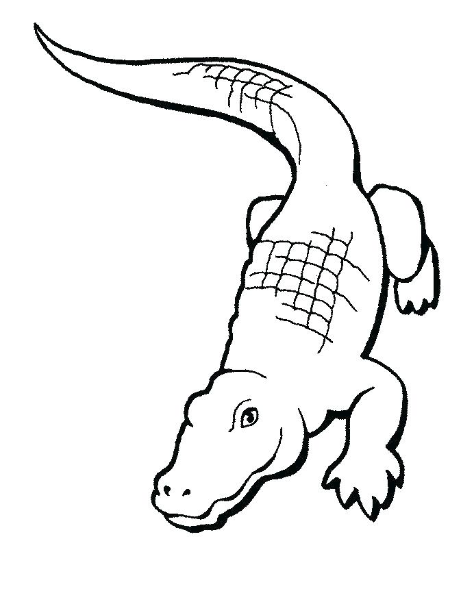 692x863 Alligator Coloring Pages Crocodile Coloring Pages Cartoon