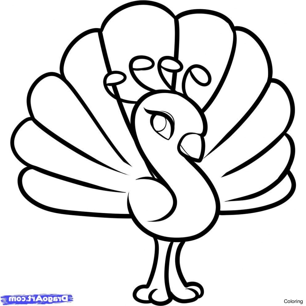 1024x1024 Animal Drawings For Children Easy Kids 84941 Dfiles Colouring Book