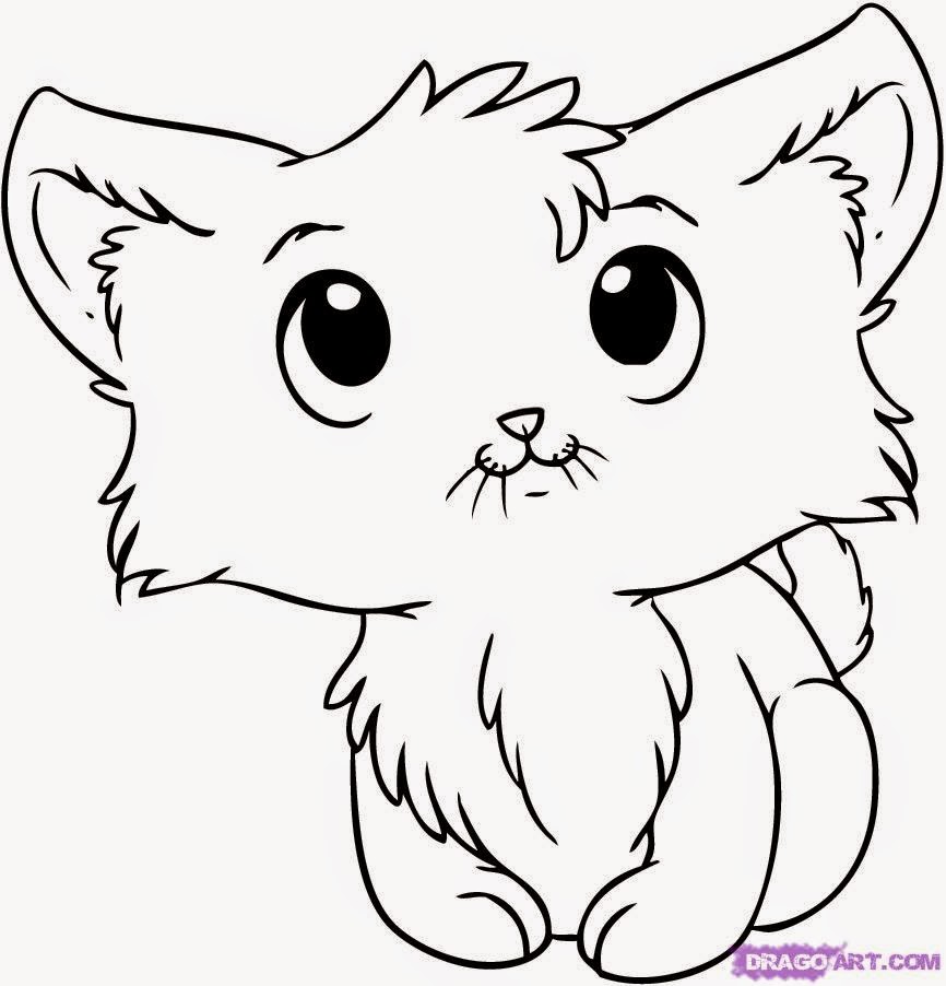 866x902 Kitten Drawings