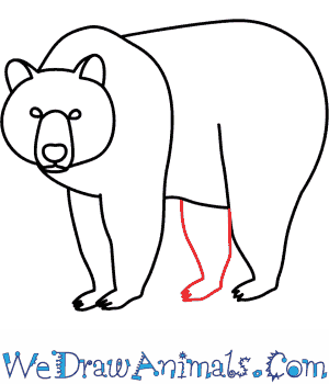 300x350 How To Draw A Brown Bear
