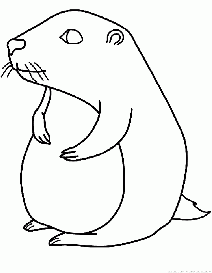 720x930 Drawn Beaver Woodchuck