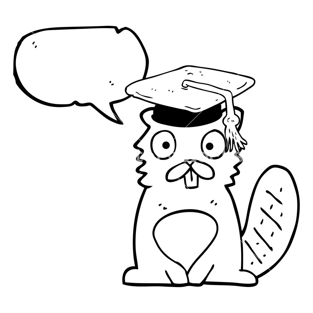 1000x1000 Freehand Drawn Speech Bubble Cartoon Beaver Graduate Royalty Free