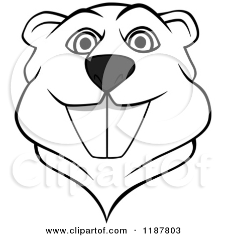 450x470 Beaver Clipart Drawn