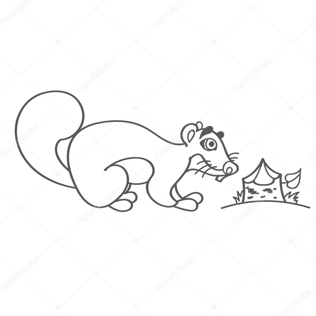 1024x1024 Beaver In Cartoon Style Outline Drawing. Stock Vector Filkusto