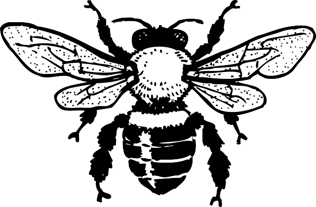 640x420 Honey, Sketch, Silhouette, Cartoon, Bee, Wings, Graphic