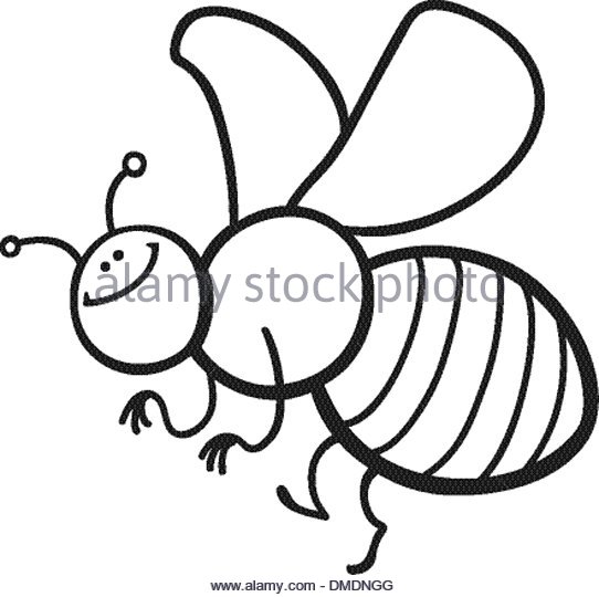 542x540 Cartoon Bee Black And White Stock Photos Amp Images