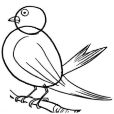 235x234 Cartoon Bird Drawing Tutorial