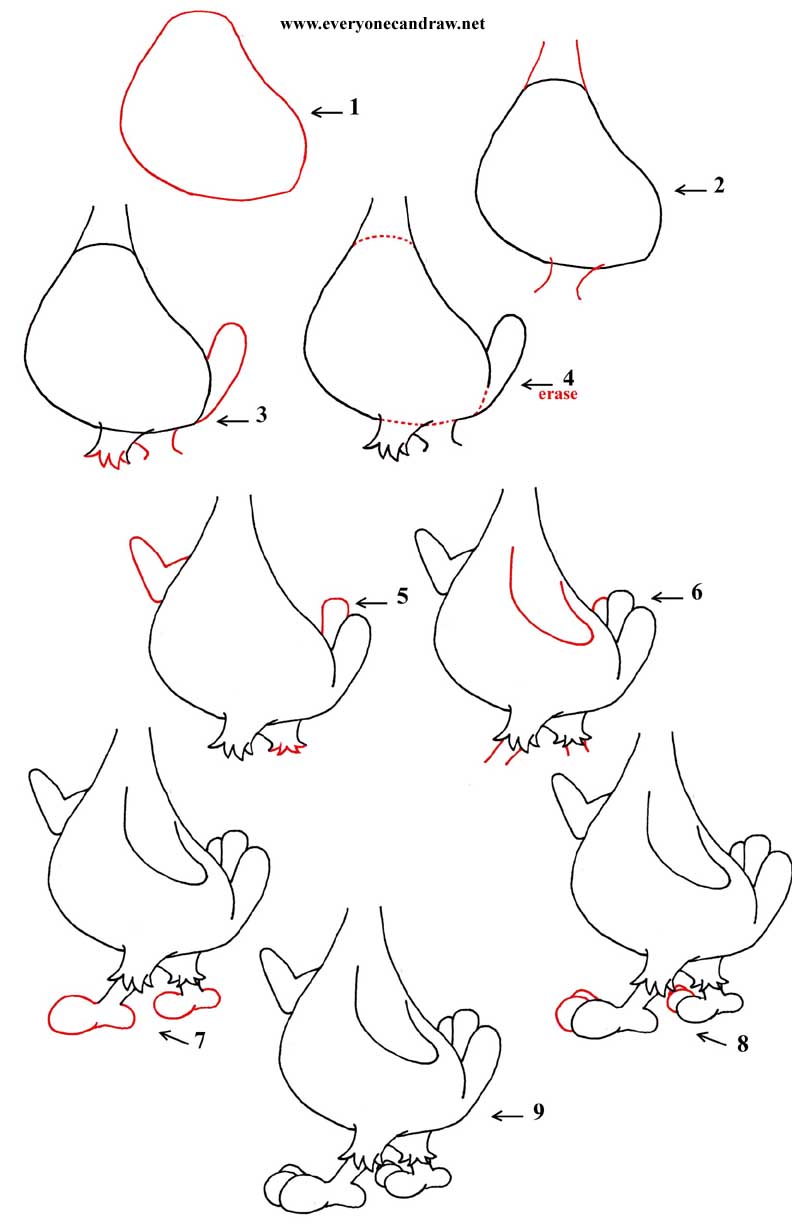 792x1224 Cartoon Bird's Body Step By Step Number 12